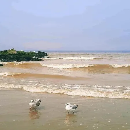 In Near The Beach, Cleaning Included Nieuwpoort